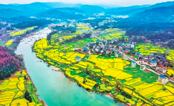 ׯ����Ϸ��(�й���)�ٷ���վ